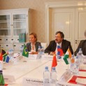 BRICS Steering Committee on Antimonopoly Policy approved creating Working Groups on IT and automotive markets